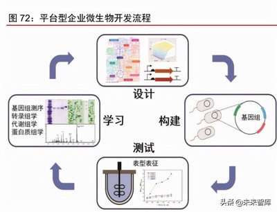 合成生物行业深度报告 合成生物学蓬勃发展，市场空间广阔 软件测试服务